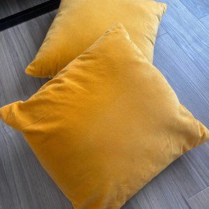 Tangerine Decorative Pillows